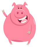 pig animal character cartoon illustration