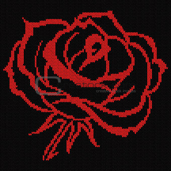 Red Rose on the Black