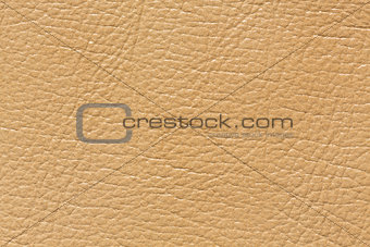 Soft leather texture in light colour.