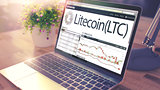 The Dynamics of Cost of LITECOIN on Laptop Screen. 3d
