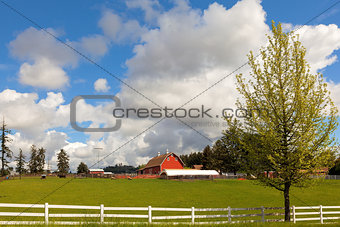 Cattle Ranch and Sheep Farm in Rural Oregon