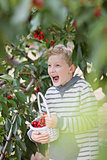 boy picking cherries