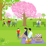 Spring with families at the cherry blossom