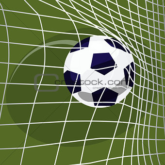 Soccer ball falls into net of goal
