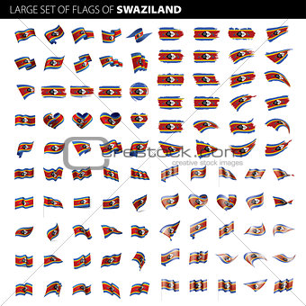 Swaziland flag, vector illustration