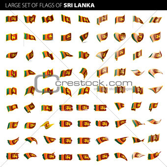 Sri Lanka flag, vector illustration
