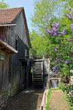 Spring at the Water Mill