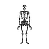 Skeleton pattern silhouette ancient monster fantasy