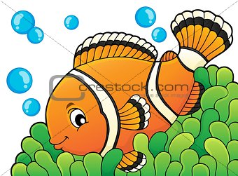 Clownfish topic image 3