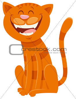 funny cat cartoon animal character