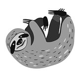 Vector design with a a cute and friendly Three-toed sloth