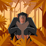 Flat geometric jungle background with Chimpanzee