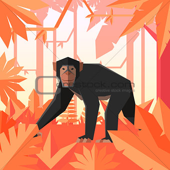 Flat geometric jungle background with Chimpanzee
