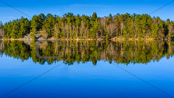 Forest reflection as seen in  lake in Gothenburg Sweden