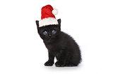 Black Kitten Wearing a Santa Hat on White