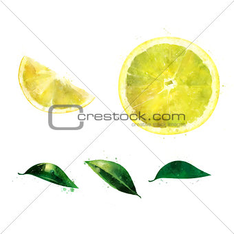 Lemon on white background. Watercolor illustration