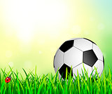 Soccer ball on the grass 