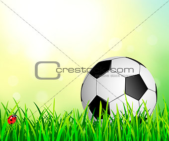 Soccer ball on the grass 