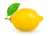 Lemon with leaf isolated