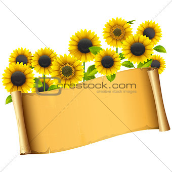 Vector Paper Placard with Sunflowers