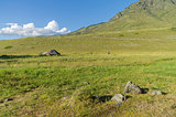 Abandoned cattle-ranch. Altai Mountains, Russia.