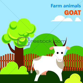 Educational flashcard with goat on the farm