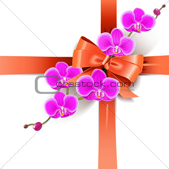 Vector Decorative Bow with Orchids