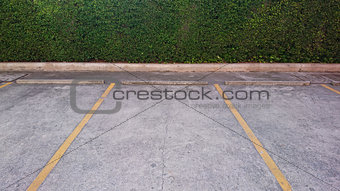 Empty parking with yellow marking