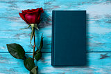 red rose and book