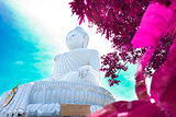 Exotic travels and adventures .Thailand trip.Buddha and landmark