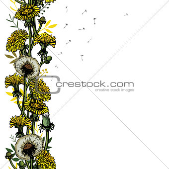Vector illustration seamless brush with dandelions, leaves, flower meadow. Summer flower natural season beautiful yellow dandelion.