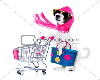 shopping dog diva