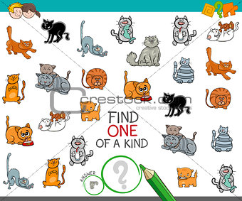 find one of a kind picture with cat character