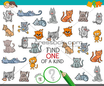 find one of a kind with cat animal character