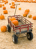 Pumpkins in red wagon