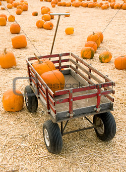 Pumpkins in red wagon