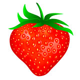 Garden strawberry 