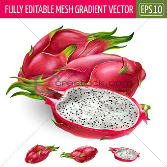 Dragon fruit on white background. Vector illustration