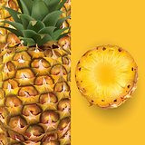 Pineapple. Vector illustration