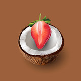 Coconut and strawberry. Vector illustration