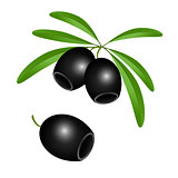 Icon of black olives without pits on white background isolated.