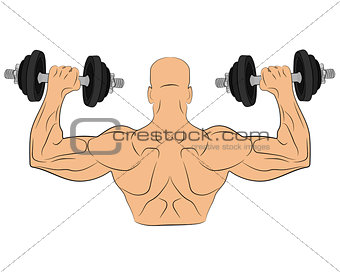 muscle man with barbell. body building concept vector drawing illustration