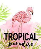 Tropical background with flamingo