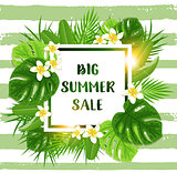 Summer tropical background for seasonal sale