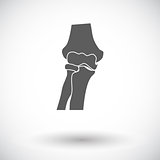 Knee-joint single icon.