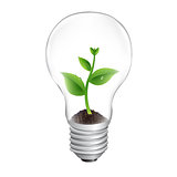 Bulb With Green Sprout White Background