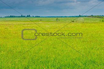juicy green grass in a field, over a field of a cloud before a r