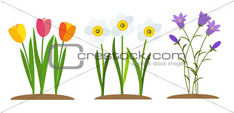 Spring Tulip, Bluebell, Narcissus  Flowers Background Vector Illustration