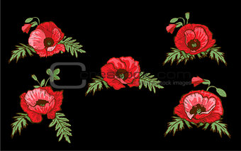 Set of hand drawn red poppies isolated on black background. Buds and flowers. Botanical vector. Floral elements for your design.