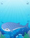 Whale shark theme image 1